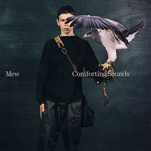 Comforting Sounds Vinyl Cover